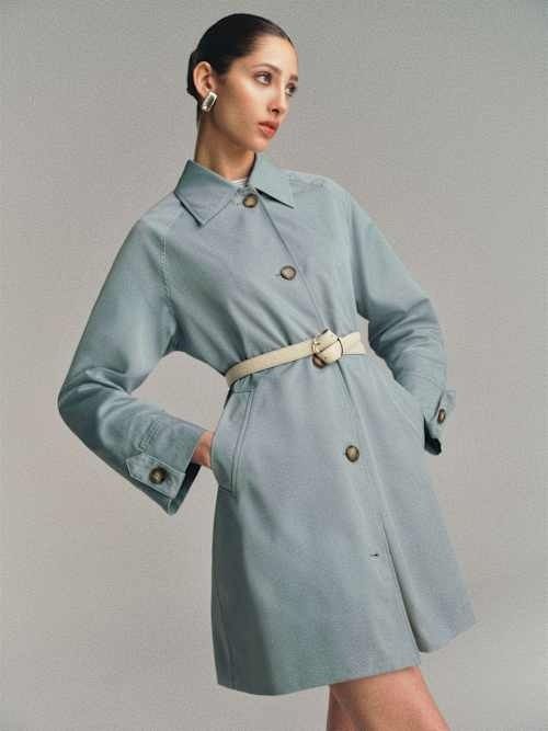 Dion Trench