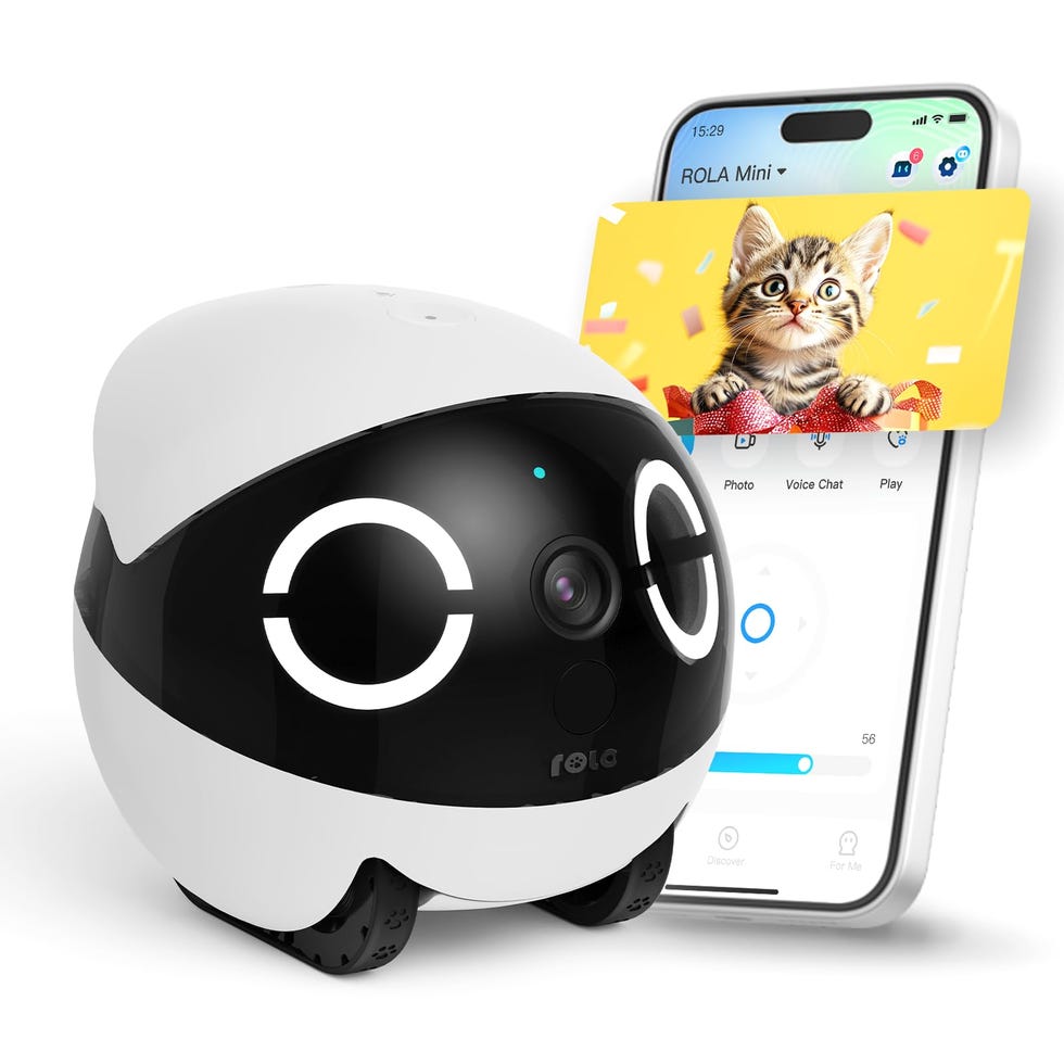 EBO ROLA Mini 2K Camera Robot EBO ROLA Mini 2K Camera Robot