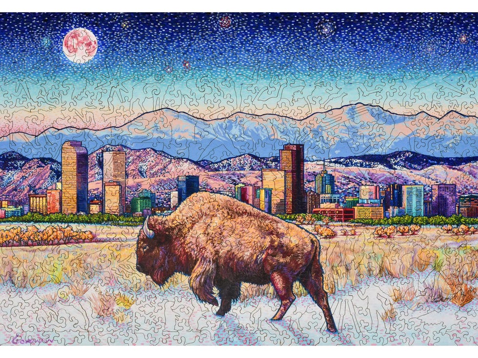 Buffalo Moon - 488 Piece