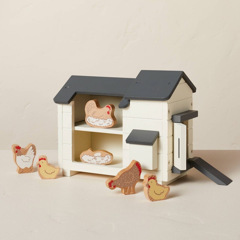Chicken Coop Set