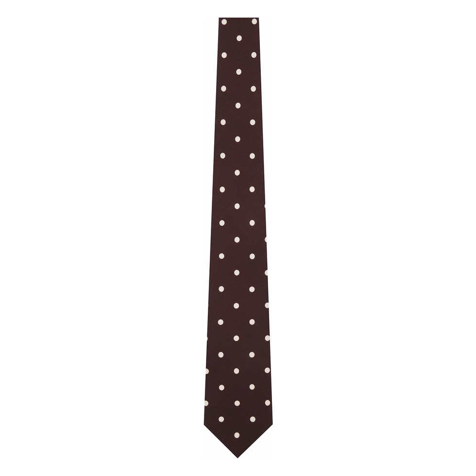 Brown Polka-Dot Tie