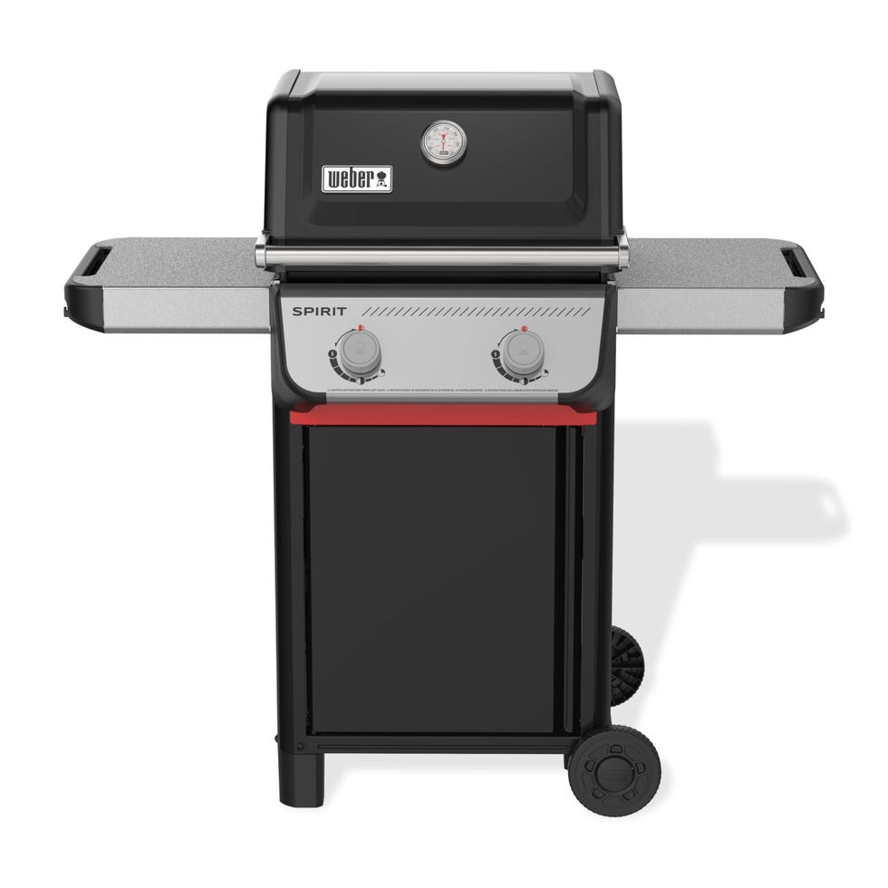 Spirit 2-Burner Grill