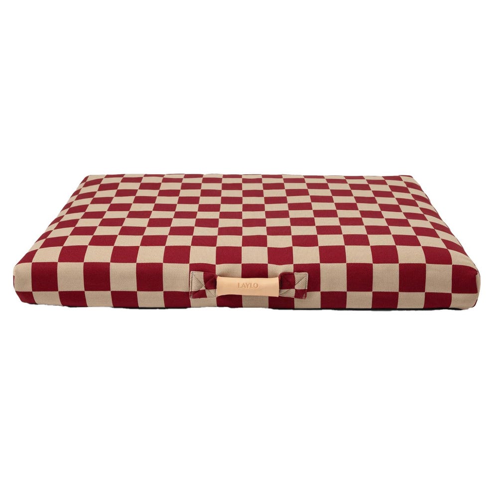 Dog Bed