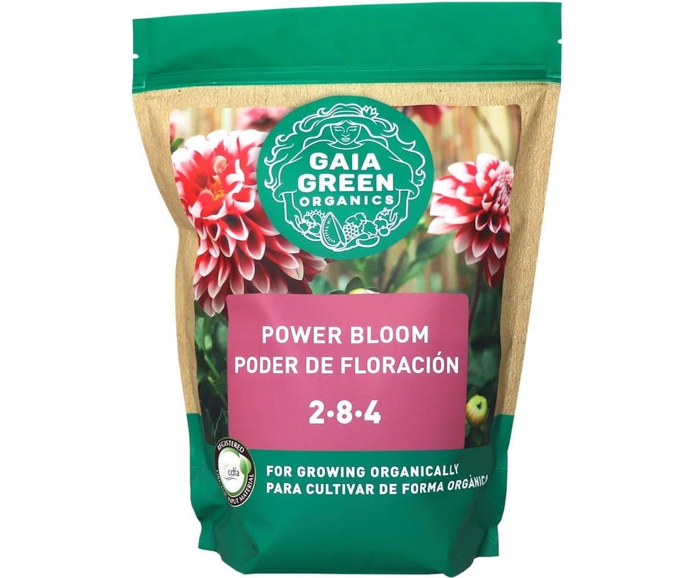 HollandBasics 2-8-4 Power Bloom Fertilizer