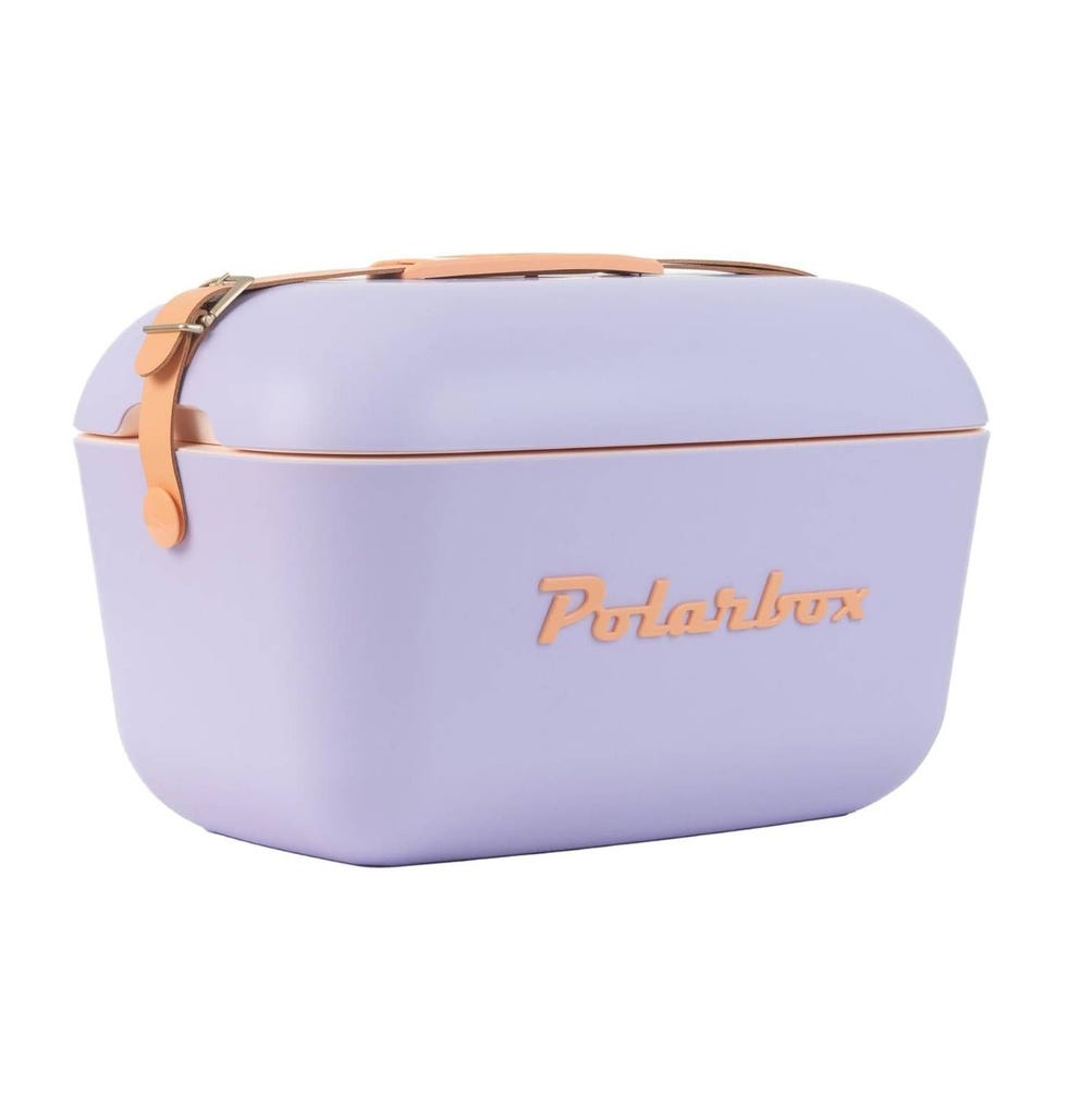 Nevera portátil de estilo vintage Polarbox