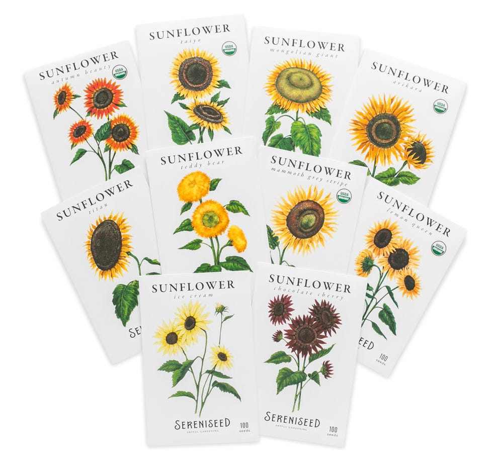 Sereniseed Sunflower Seeds Collection (10-Pack)
