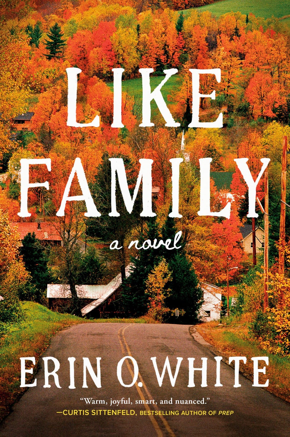 <i>Como Família</i> de Erin O. White