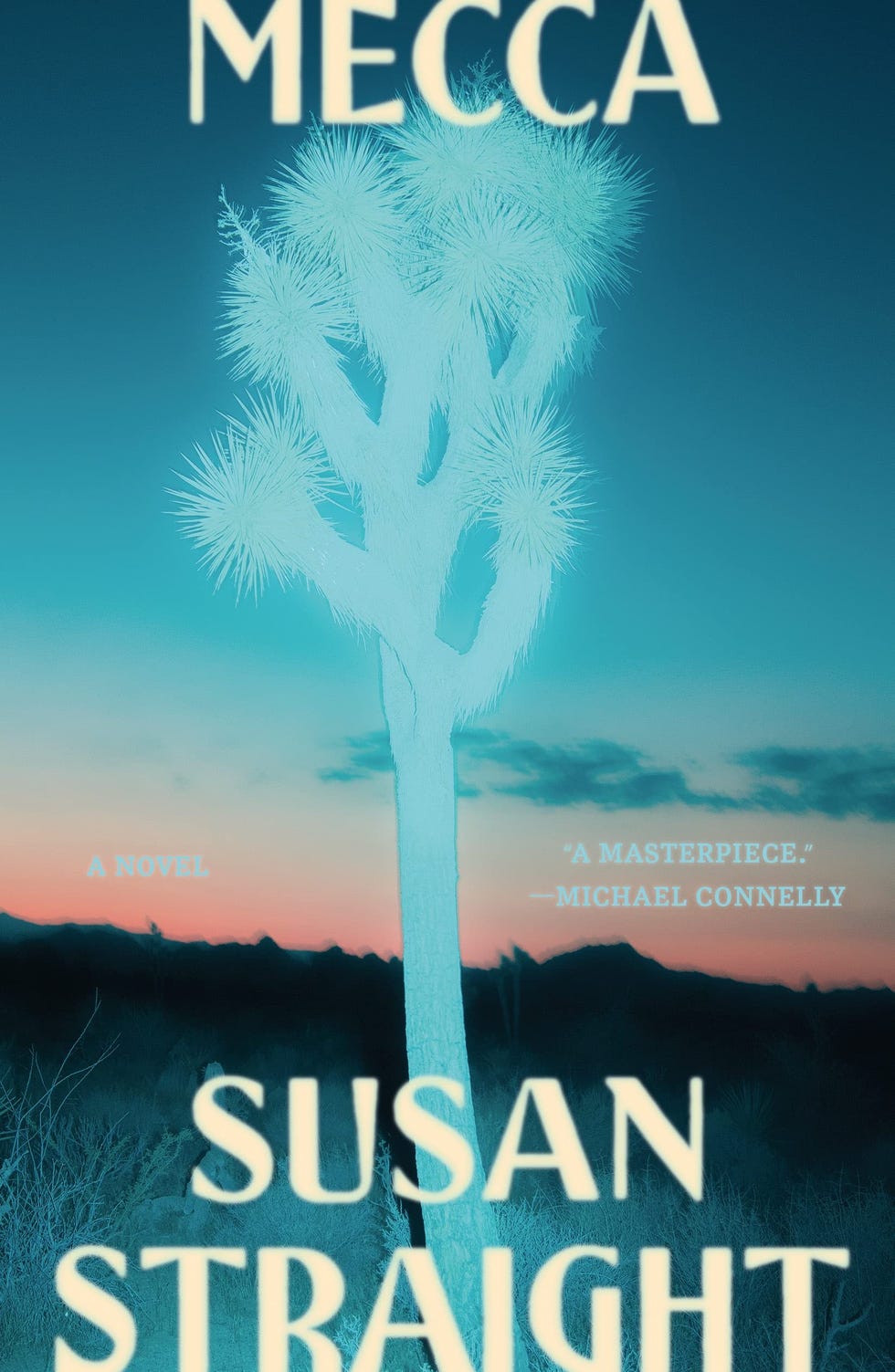 <i>Mecca</i> by Susan Straight