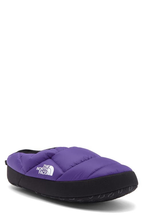 Pantofola da mulo NSE Tent IV