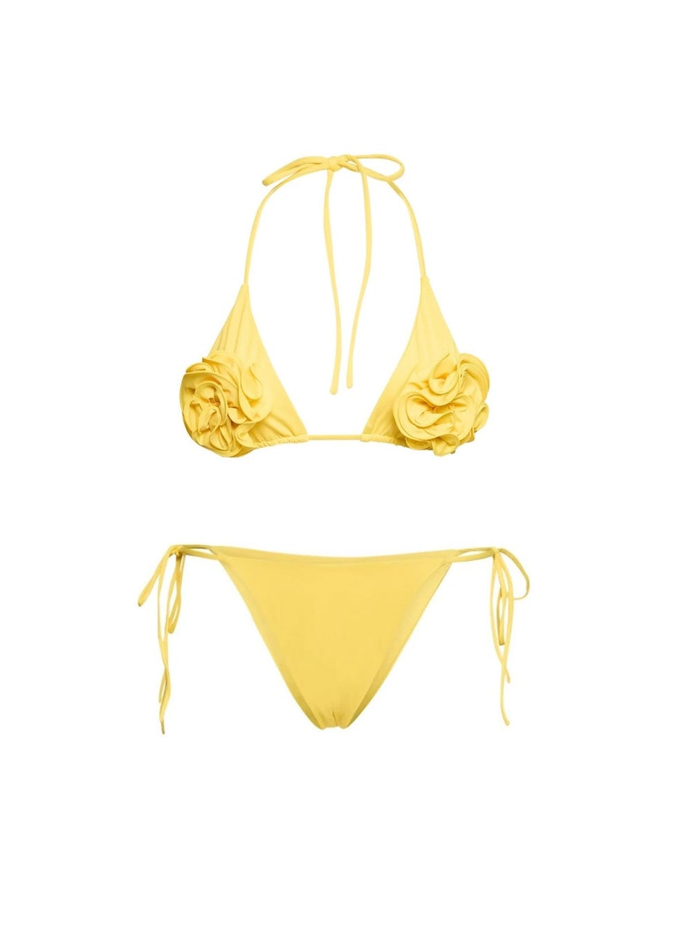 Bikini With Roses