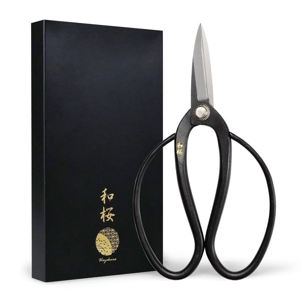Yasugi Steel Scissors