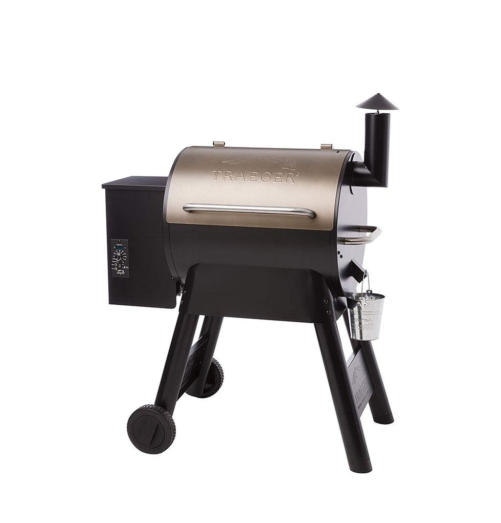 Pro Series 22 Electric Wood Pellet Grill