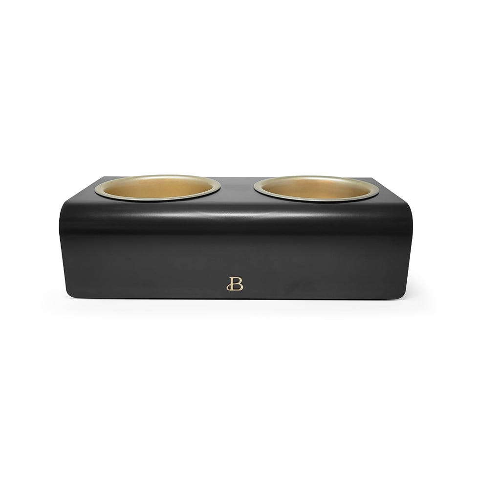 Double Elevated Stainless Steel Pet Bowl