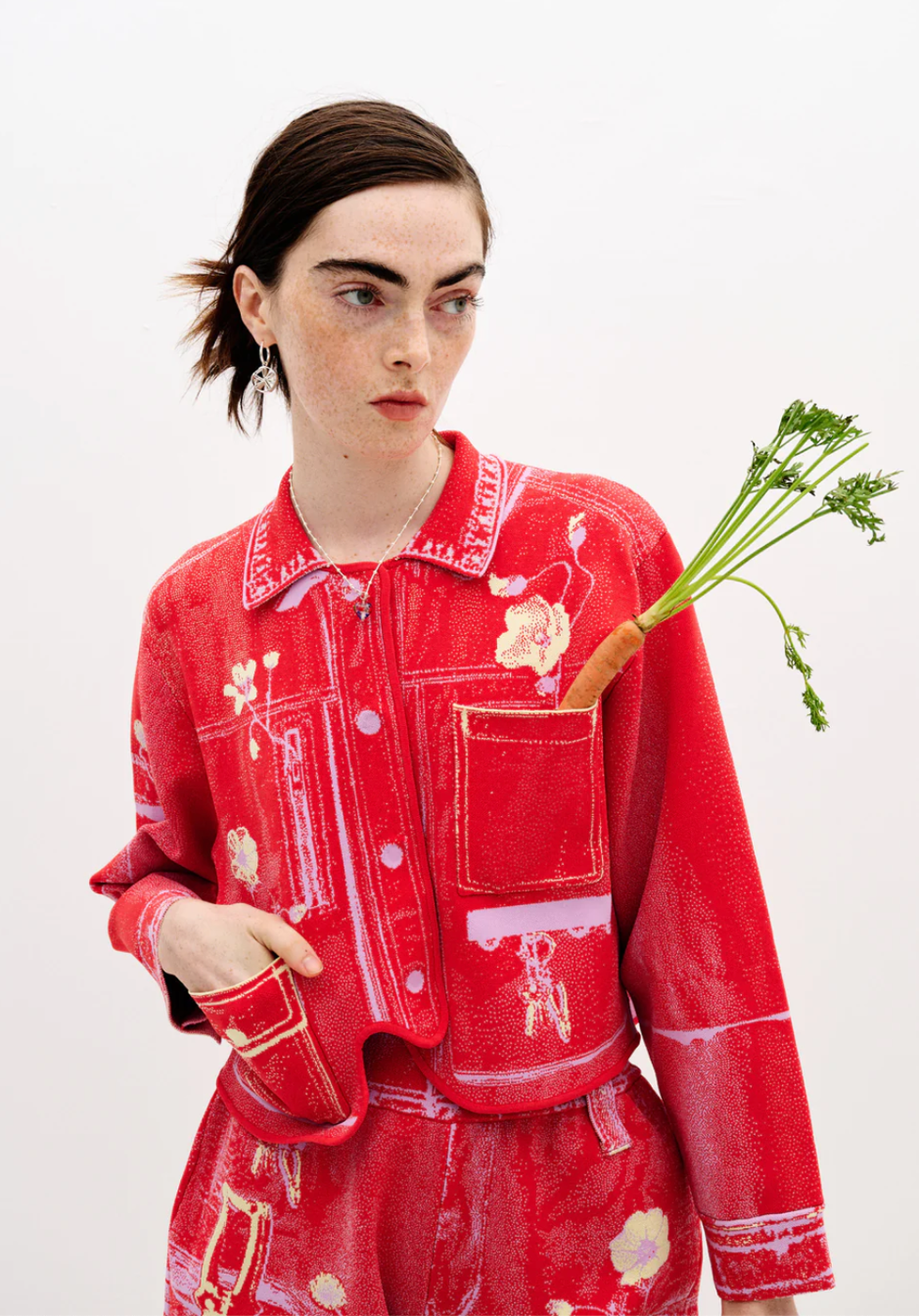 Zebrina fausse veste de cargaison