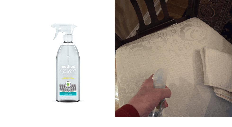 Stain and Odor Treatment Spray