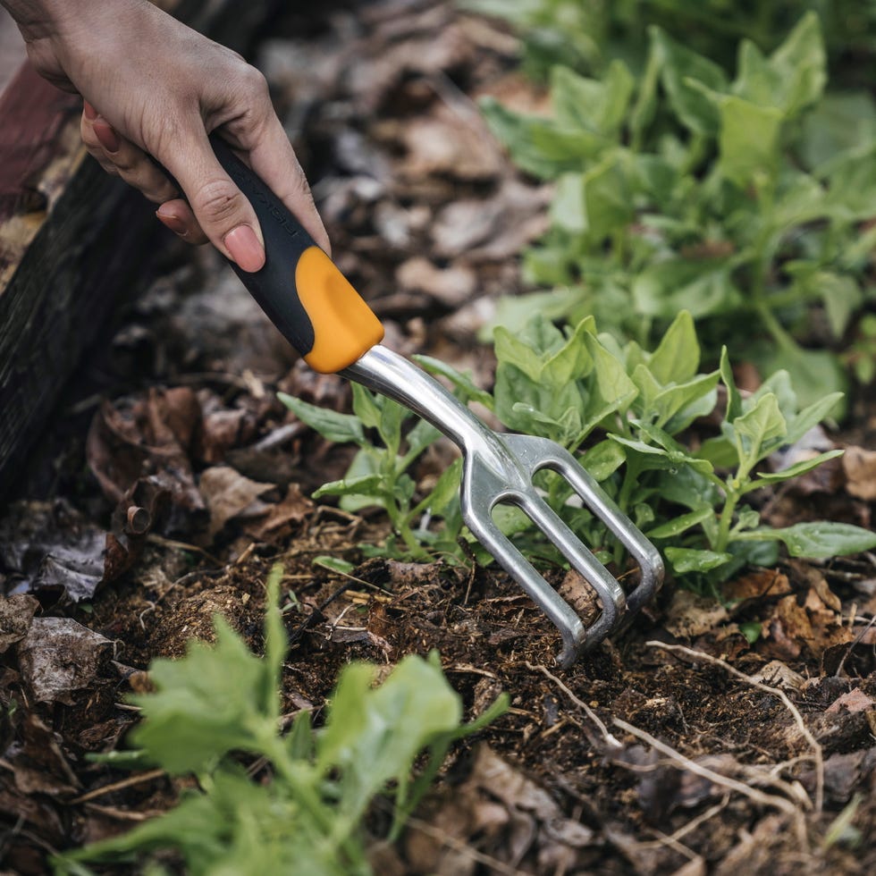 Cultivator 
