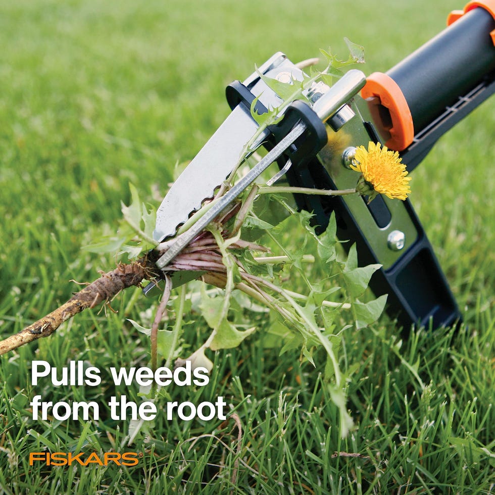 Stand Up Weeder