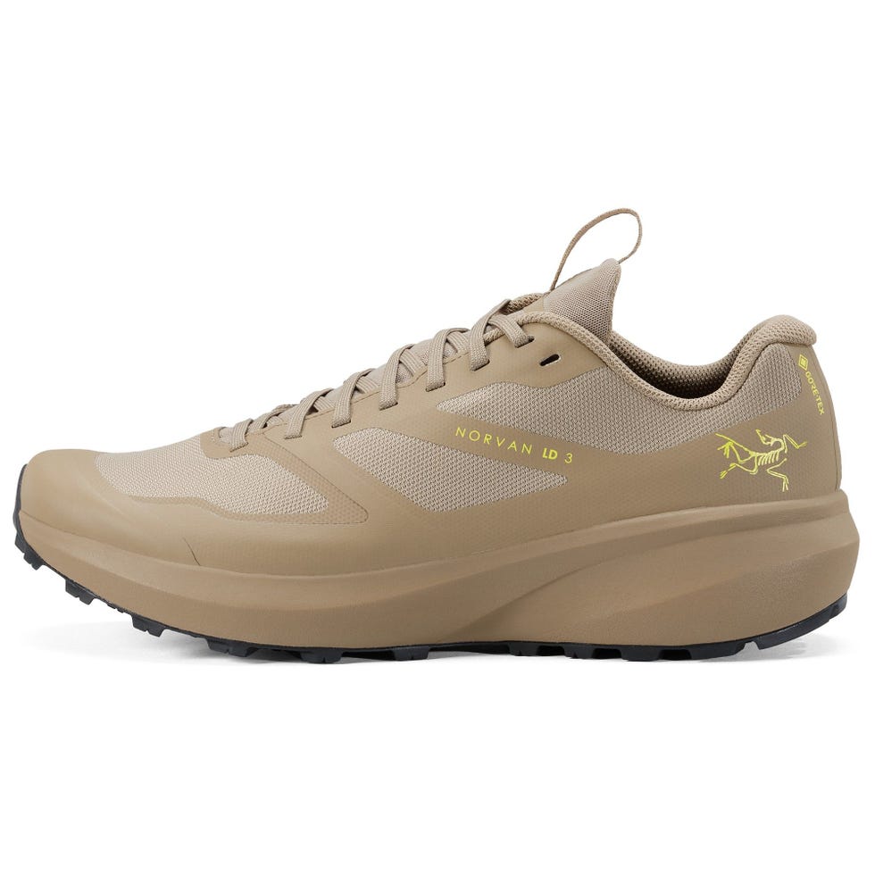 Norvan LD 3 GTX Trail-Running Shoes