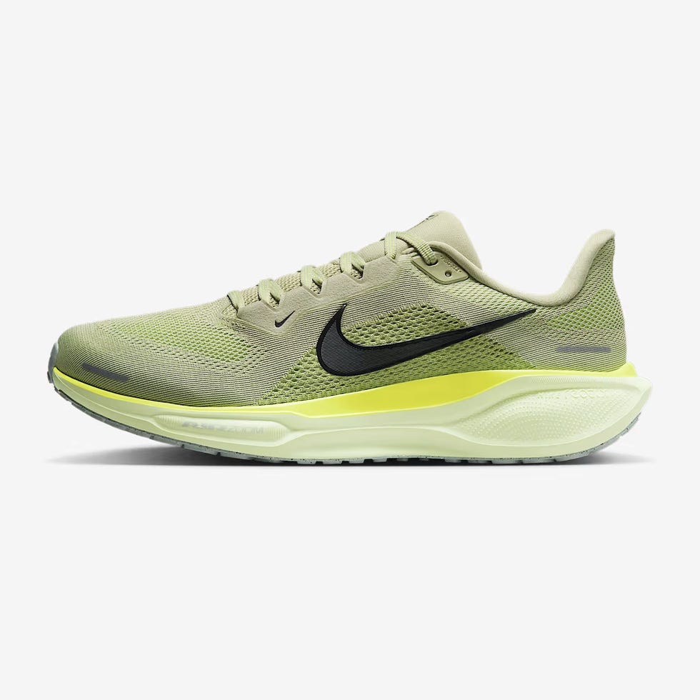 Pegasus 41