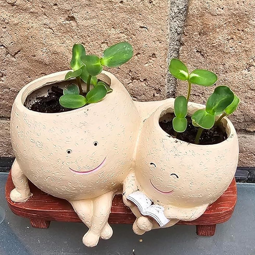 Smily Face Planter