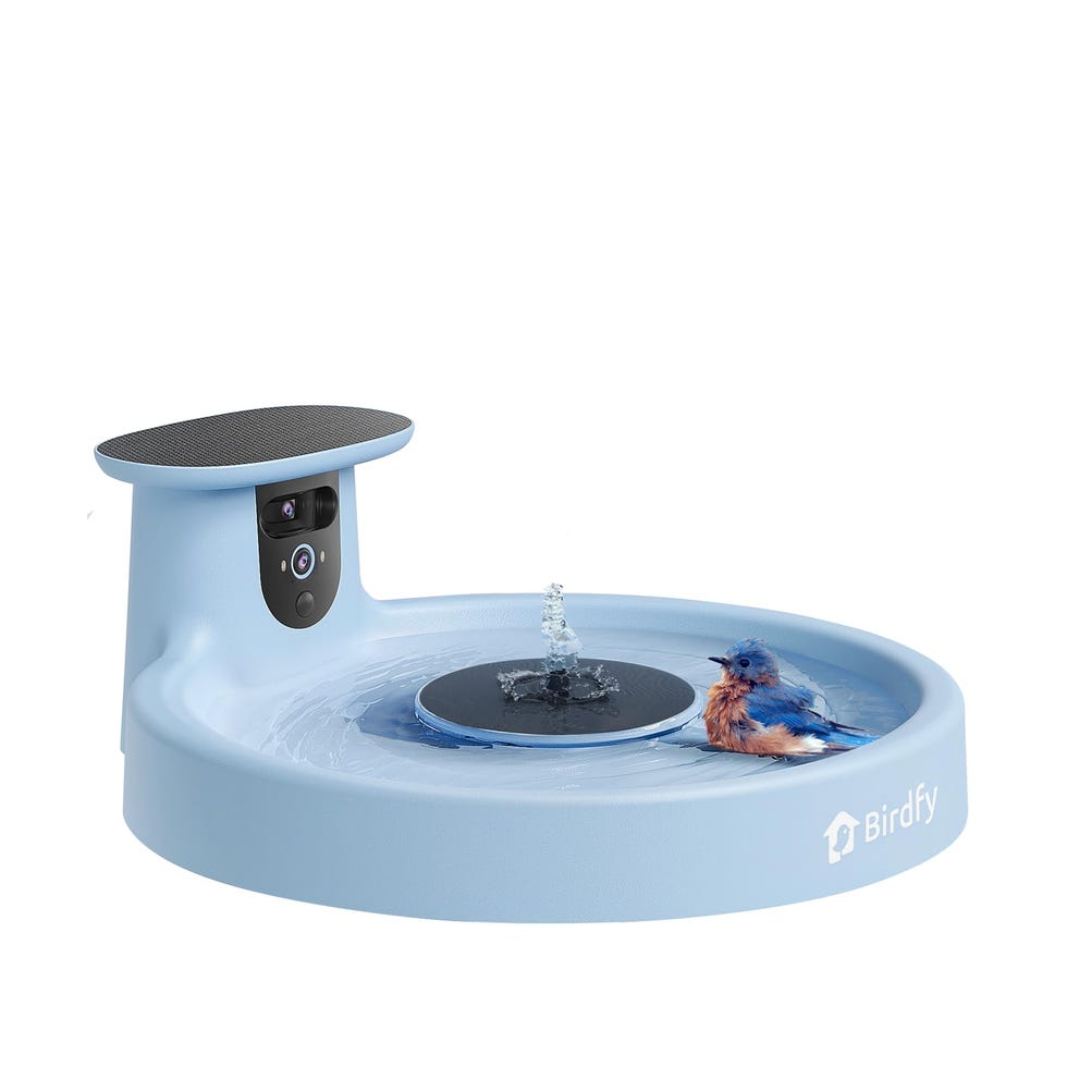 Smart Bird Bath with Camera