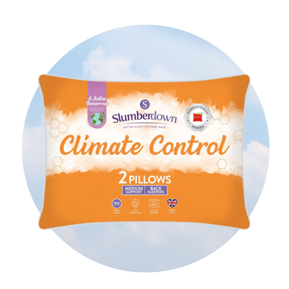 Climate Control Firmer Pillows (2 pack)
