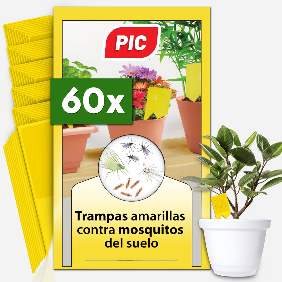 Tarjetas cromáticas contra las mosquitas