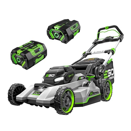 Electric Lawn Mower