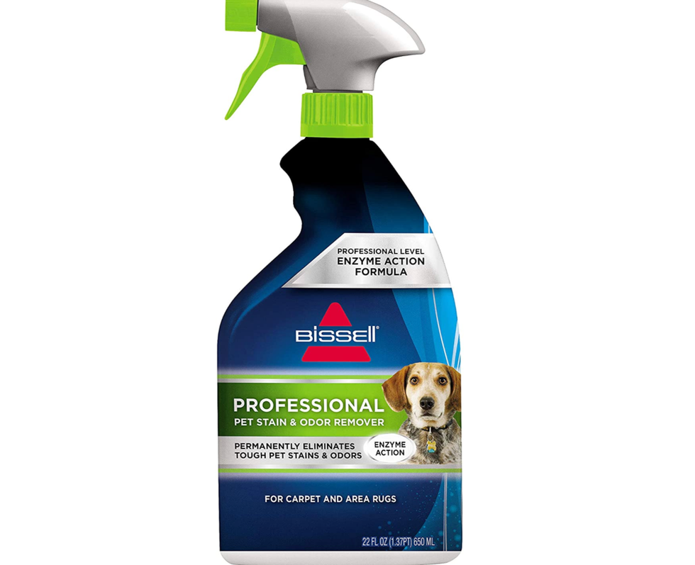 Professional Pet Stain and Odor Removing Formula