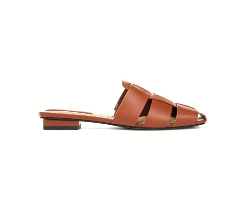 Tavana Mule