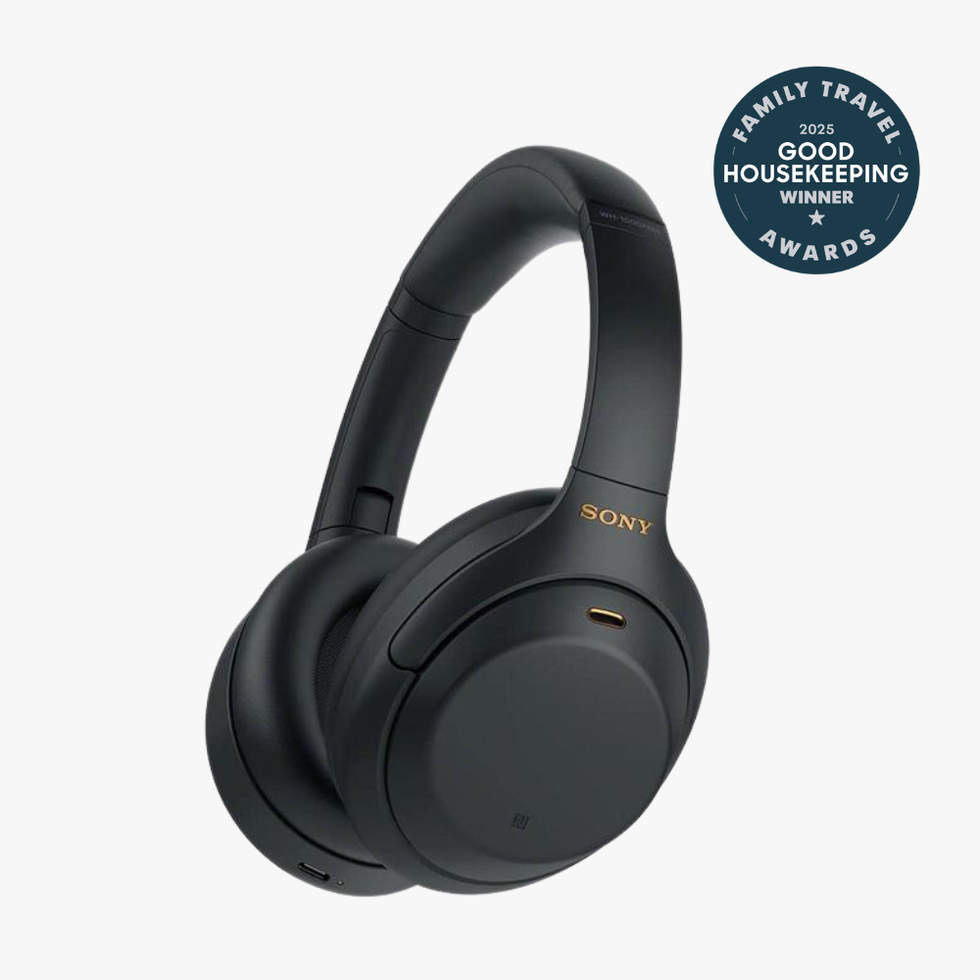 WH-1000XM4 Noise Canceling Headphones