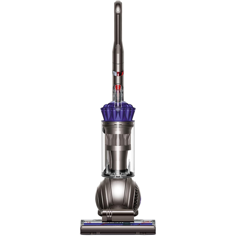 Ball Animal Upright Vacuum 