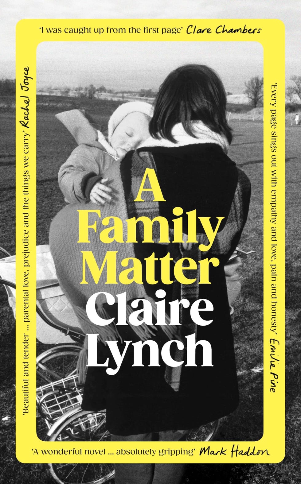 A Family Matter by Claire Lynch