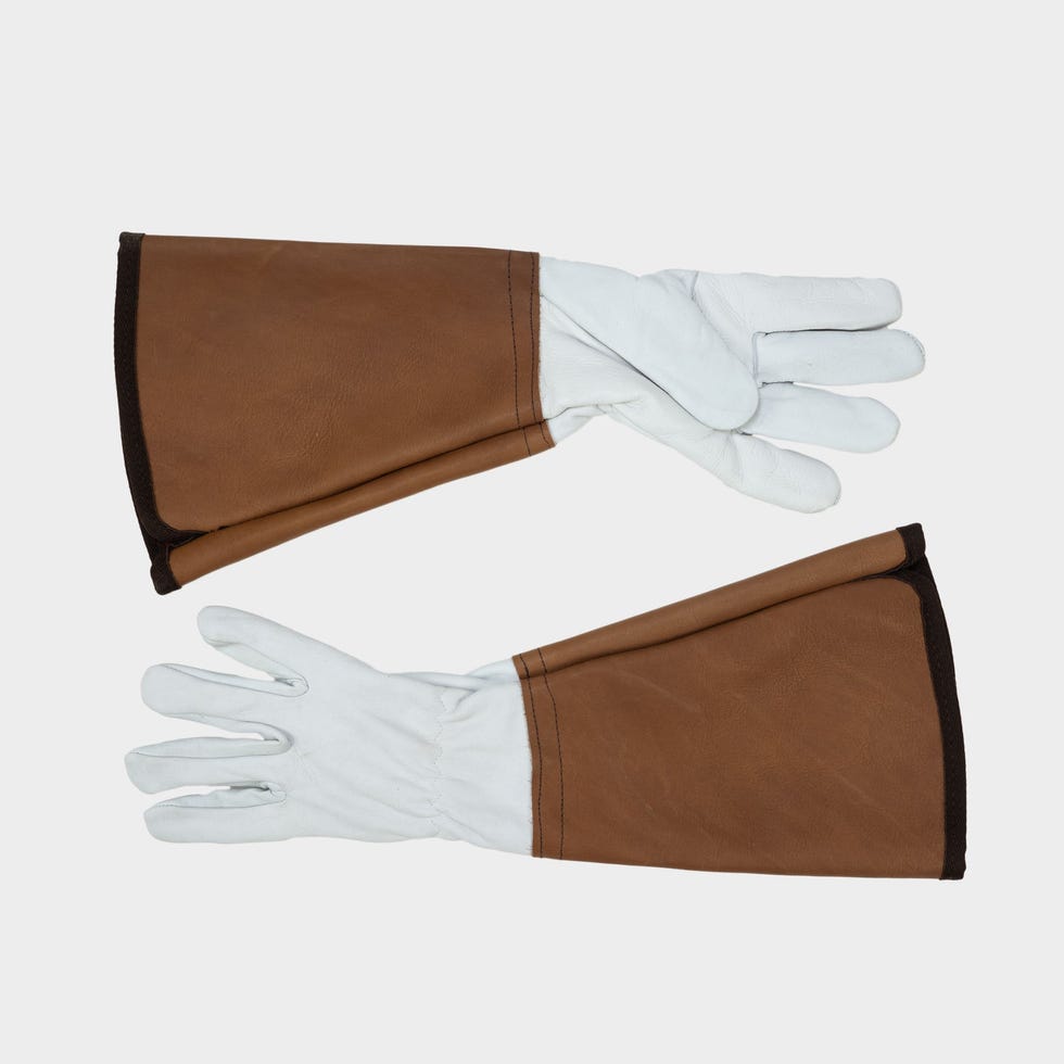 Anti-Bramble Gauntlet Glove