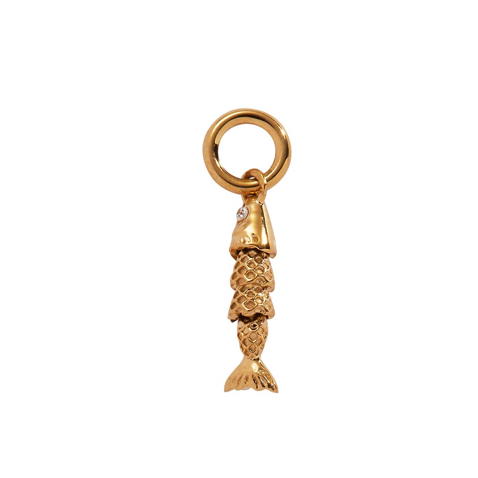 Fish Interchangeable Charm