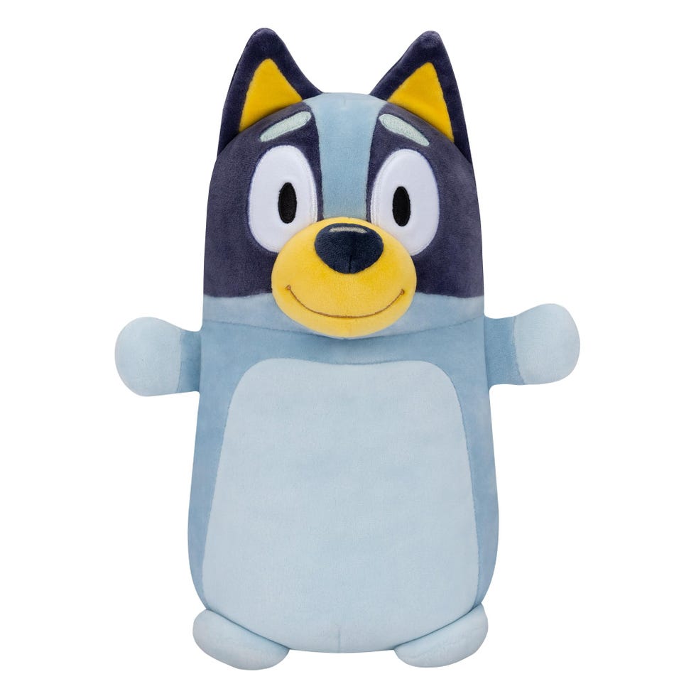 Bluey HugMees