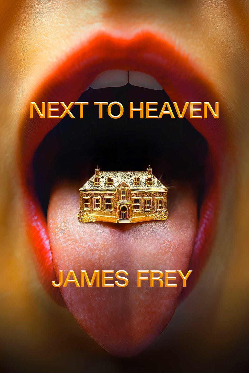 Next To Heaven, by James Frey