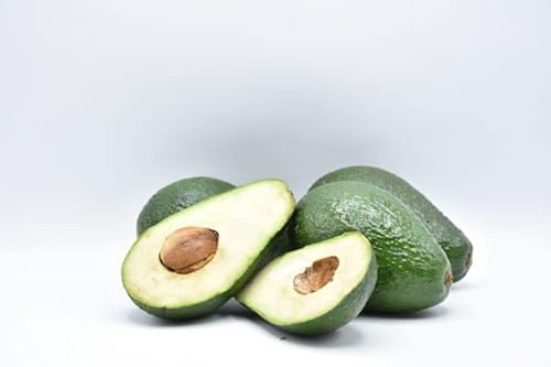 Avocado 8 pezzi