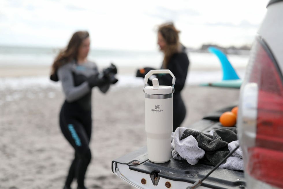 Stanley IceFlow Stainless Steel Tumbler 