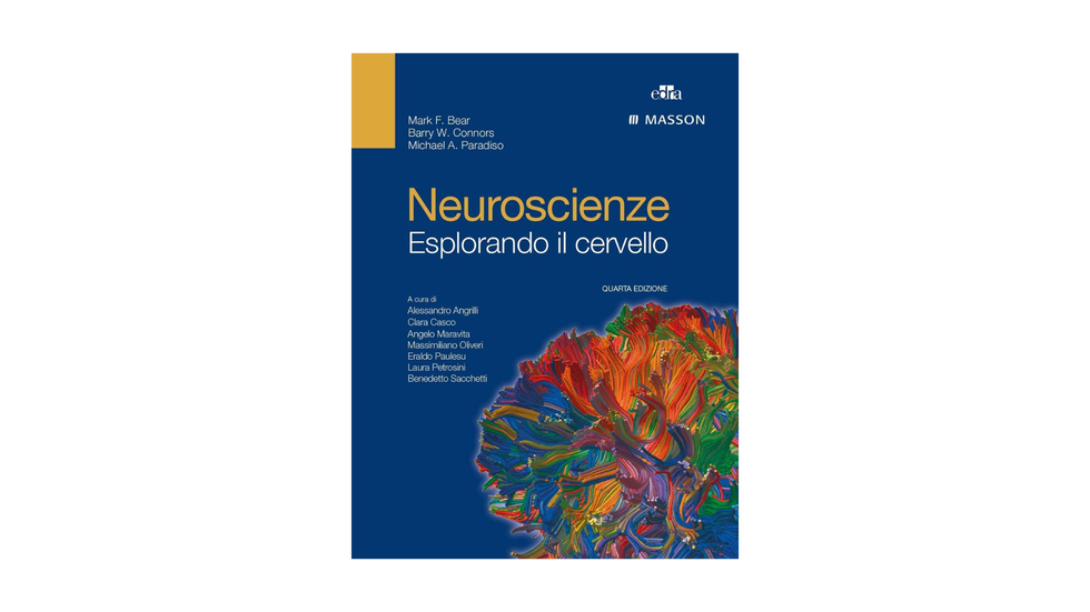 Neuroscienze. Esplorando il cervello