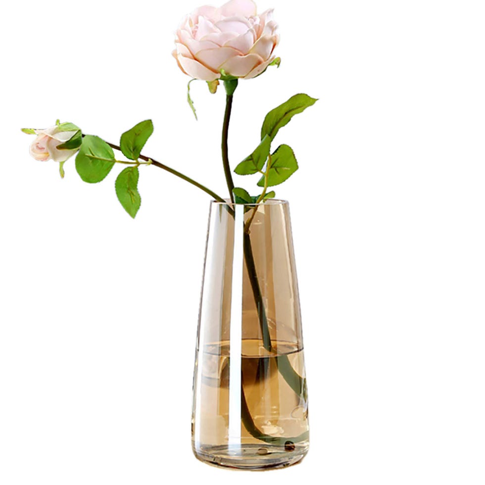 Modern Glass Vase