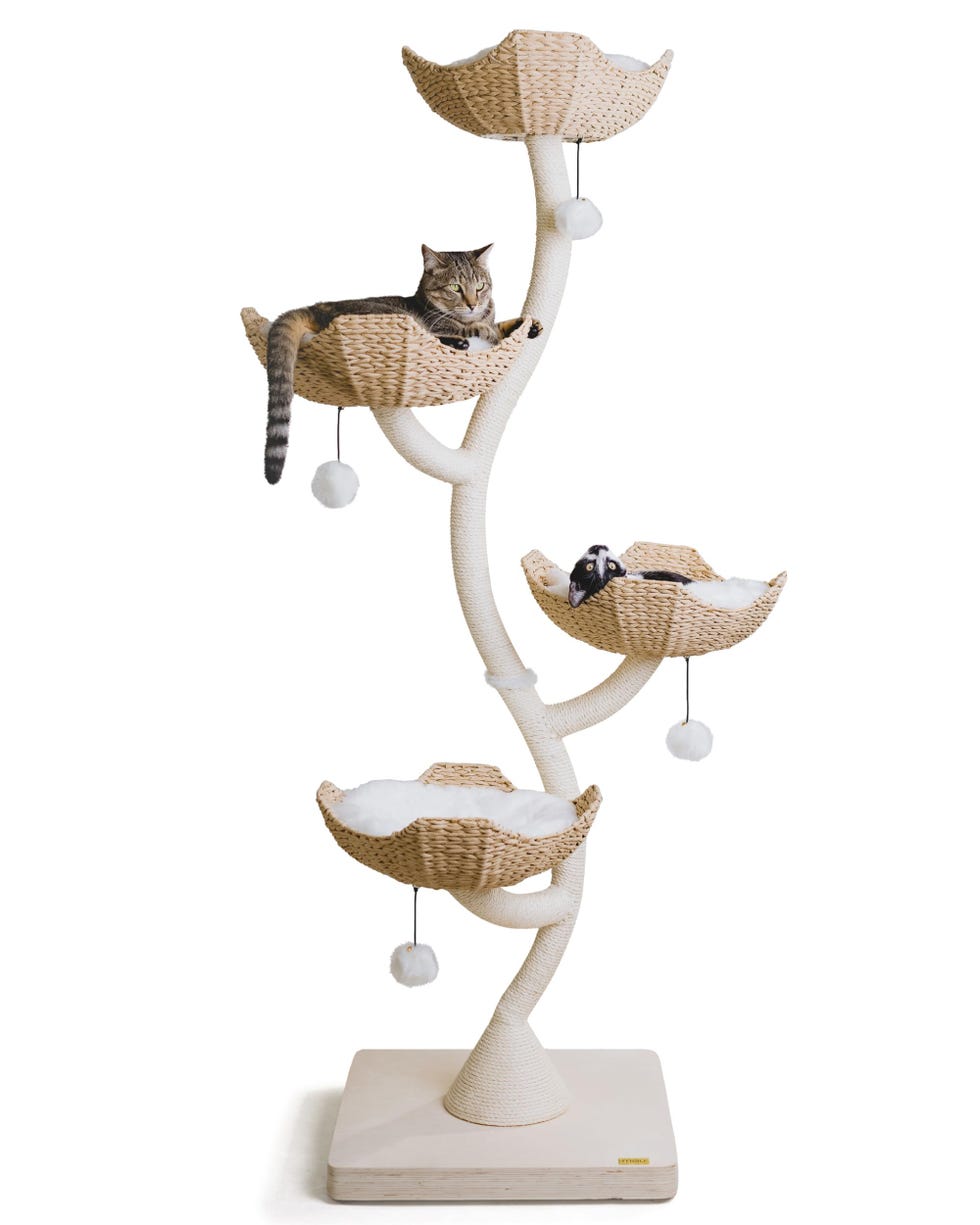 Ivy Cat Tree