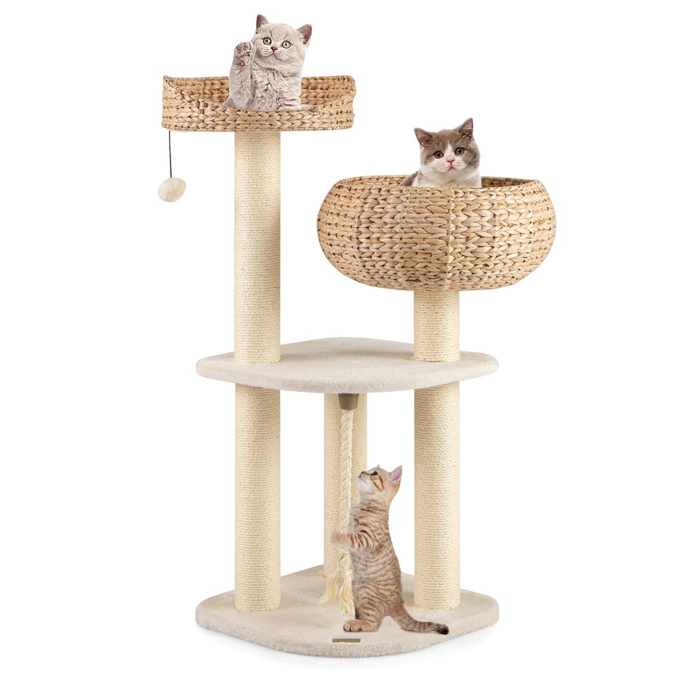 Modern Cat Tree