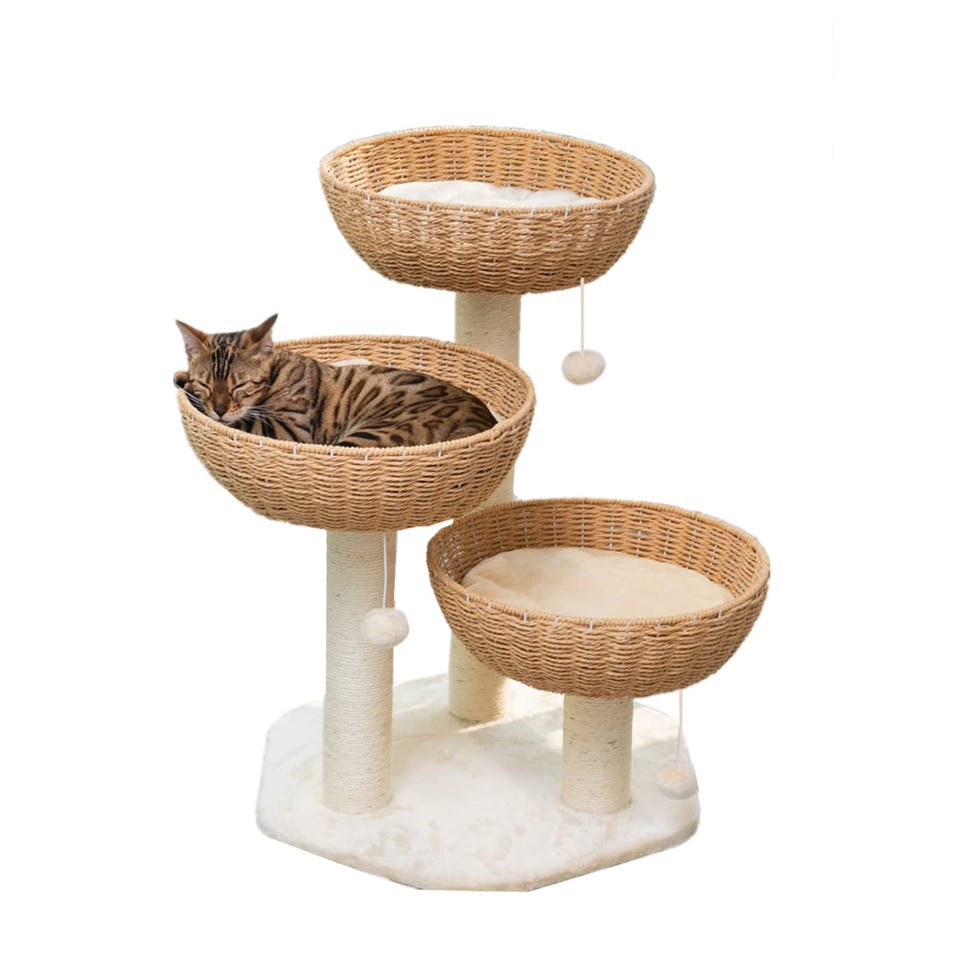 Cat Tree Tower