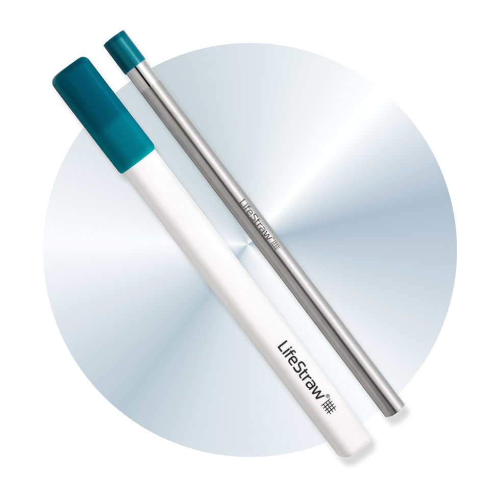 Sip Reusable Steel Filter Straw With Carrying Case