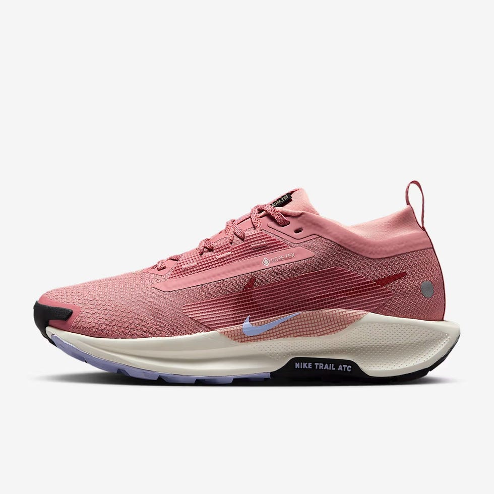 Nike Pegasus Trail 5 GORE-TEX