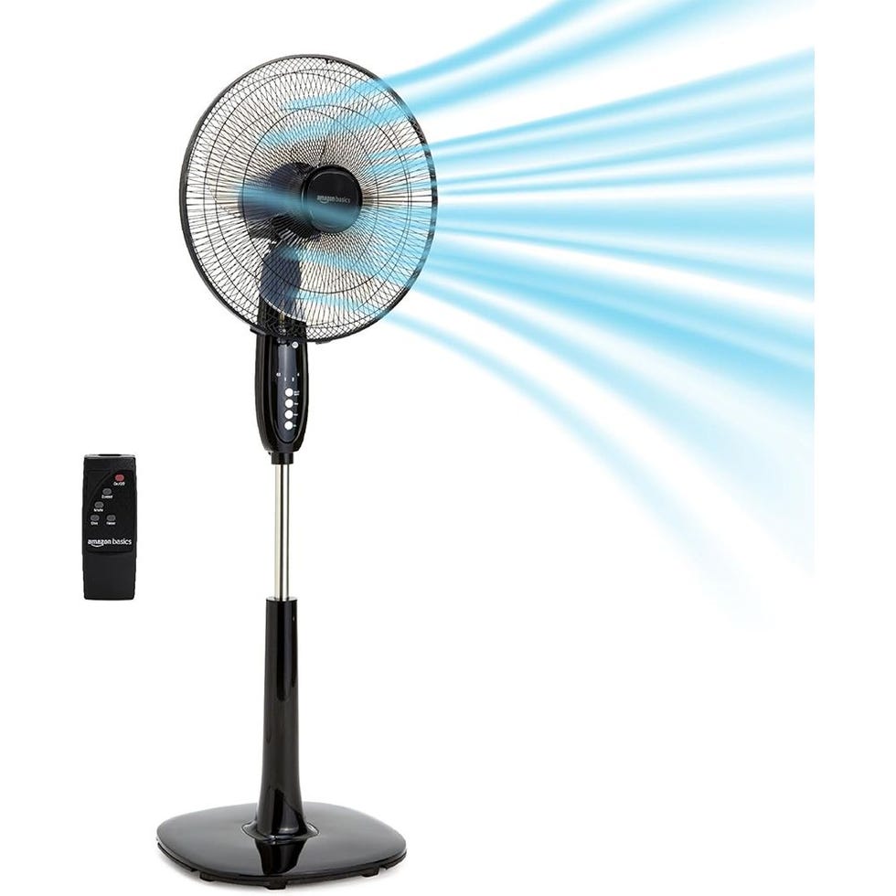 Oscillating Dual-Blade Standing Pedestal Fan