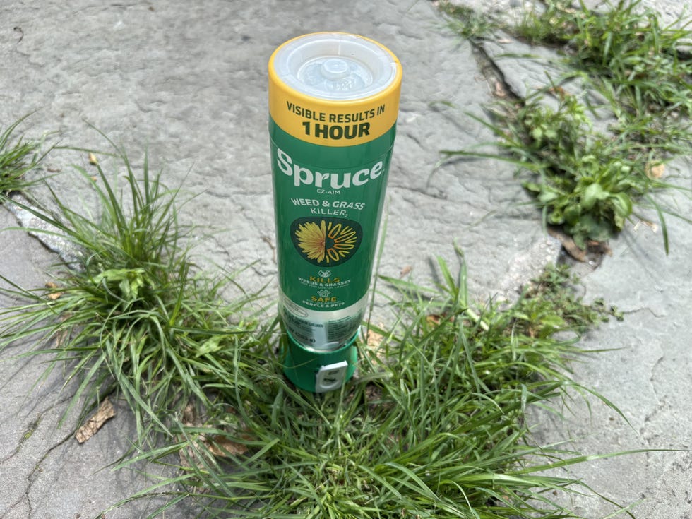 EZ-AIM Weed and Grass Killer 