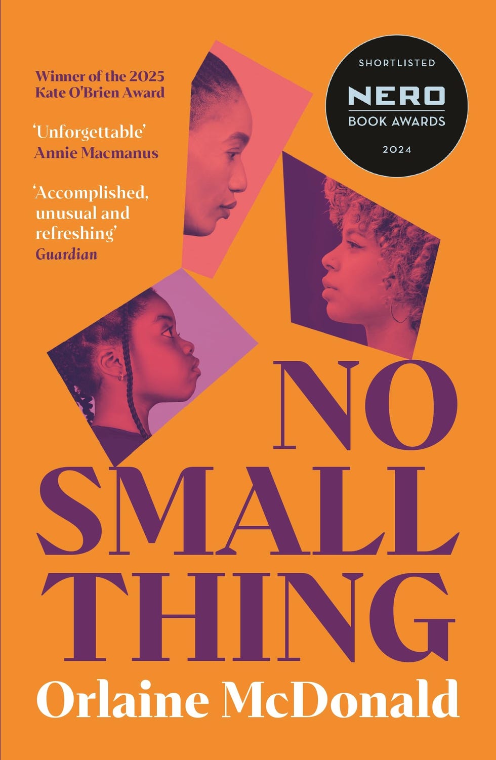 No Small Thing by Orlaine McDonald