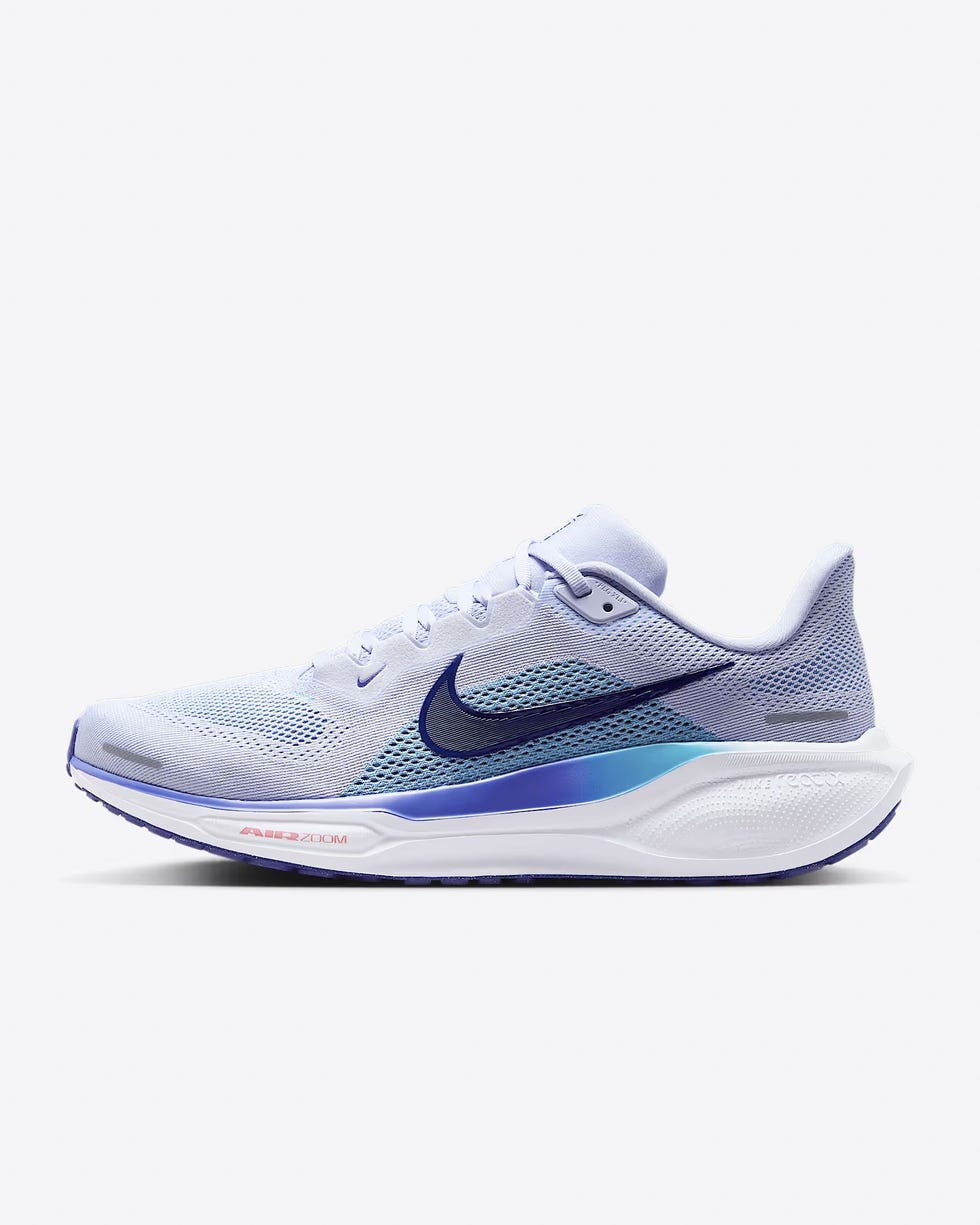 Pegasus 41